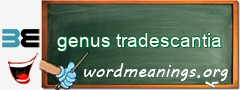 WordMeaning blackboard for genus tradescantia